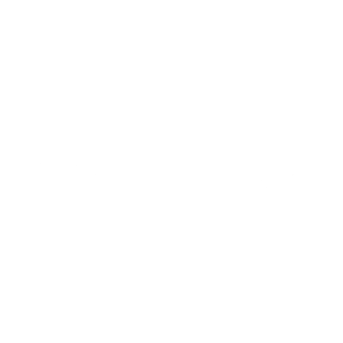 Voyage-Tampa- Marcela Arenas